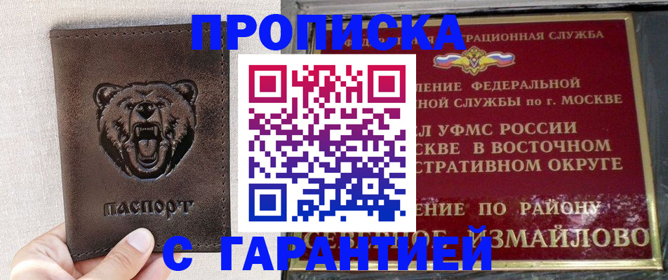 временная регистрация поиск в Пензенской области